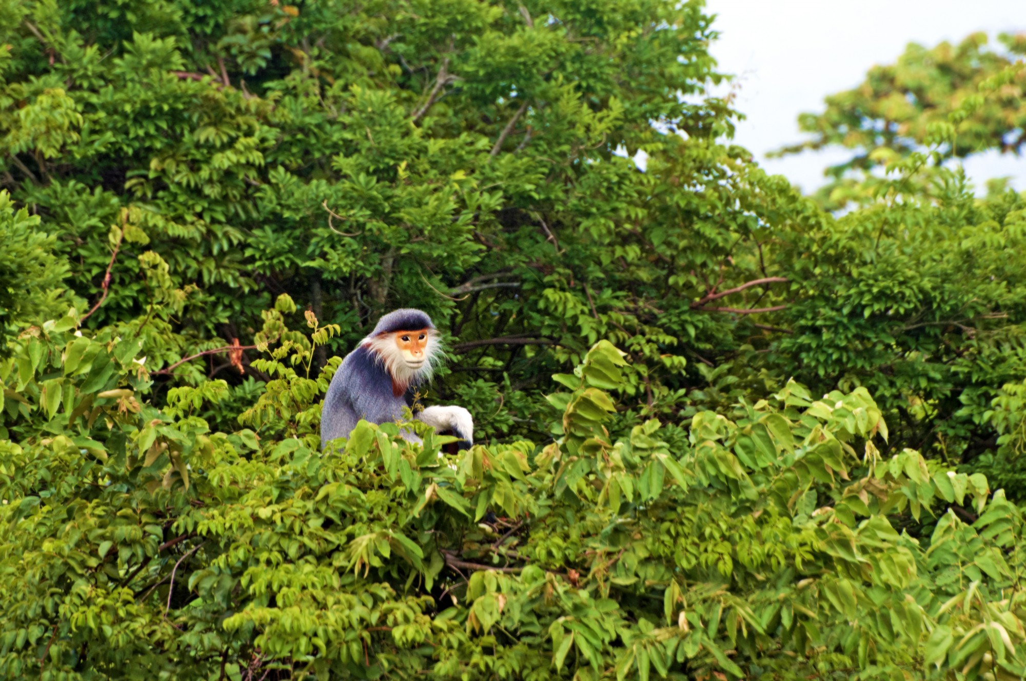 Explore Central Highlands